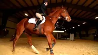 Equestrian Team Makes It Look Easy