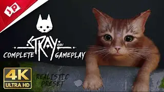 STRAY WALKTHROUGH 4K 60fps No Commentary