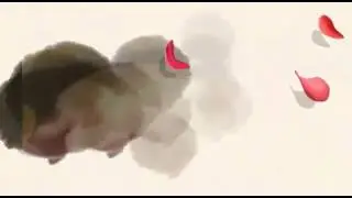 Il mio dolcissimo coniglietto Moffy