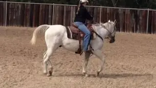 JT and Wyatt NS