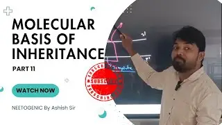 Molecular Basis of Inheritance 11