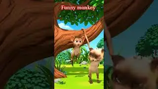 Cat की acting देख Monkey भी धोखा खा गया 😂 #funny #shorts