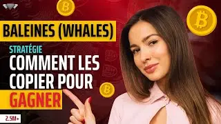 🐳 Bitcoin (BTC) : Copier les baleines, la STRAT&Eacute;GIE secr&egrave;te pour GAGNER en crypto