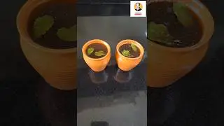 പാനകം || Rama Navami Special Panakam Recipe #Shorts