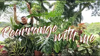 Rearrange sun-loving plants with me