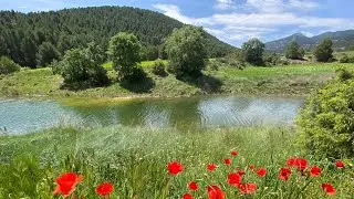 Desde el Lago del Manzano (Bullas, Murcia)