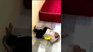 The Daily Routine of a Fit and Energetic Monkey 🐒 // monkey 200 iq // monkey 200 iq moment #monkey