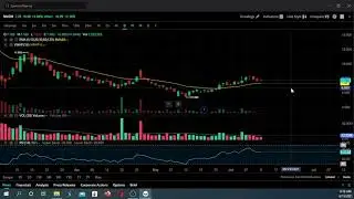 Stock Technicals PLTR NNDM CLNE above 20 day moving average on daily chart