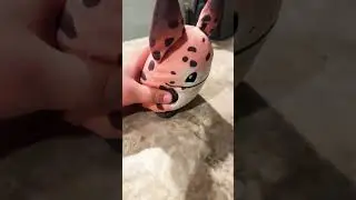 Feeding loth cat￼