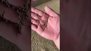 Sinking fish feed extruder