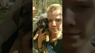 больше з нами не будет тузика Вин погиб  😭😭😭