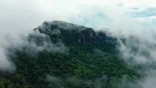 Bleo | Drone Shot Over Currumbin Valley