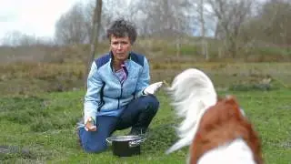 Brandnetelsoep: hoe kun je brandnetels in je soep verwerken?