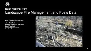 Banff National Park - Landscape Fire Management and Fuels Data -Jane Park
