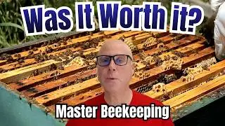 Master Beekeeper: Expectation vs. Reality.