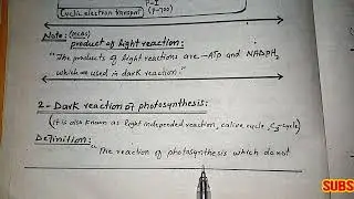 Dark Reaction Of Photosynthesis || Complete Process || Class 11 || Hindi Urdu ||
