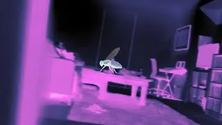 Eye Of The Fly | KPB217 A1 60-sec Experimental Film 2025 (Samuel Lee)