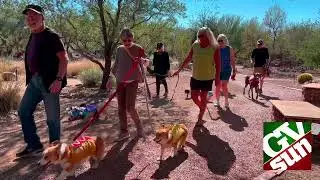 2025 GVR Canine Club Halloween Pet Parade