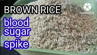 BROWN RICE  review for diabetic