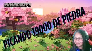 D&aacute;ndole piedra a un piedroso llamado Dreyker | Jugando Minecraft