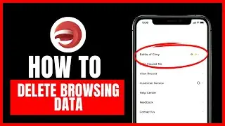How to delete browsing history on Santa browser