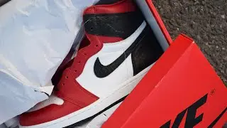 Nike Air Jordan 1 Satin/ Snake