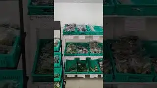 modern vegetable and fruit shop in india #india #nature #vegetables #fruit #diet #latest
