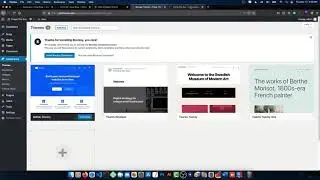 How to Manage Wordpress Plugins and Themes From Plesk