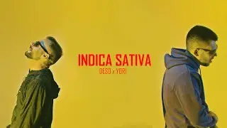 DESO x YORI - INDICA SATIVA (OFFICIAL 4K VIDEO)