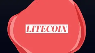 Litecoin For Dummies | Should You Invest in Litecoin? | Best Altcoins To Invest In