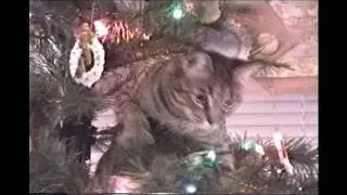 Christmas tree Angel