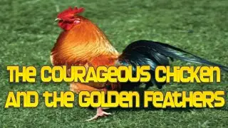 The Courageous Chicken and the Golden Feathers