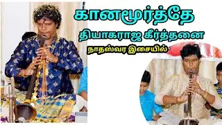 Ganamurthe / Thyagarajar Kriti / P.S.Balamurugan