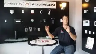 Tech Tuesday Amazon Echo Integration