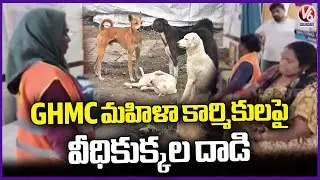 Stray Dogs Attack GHMC Women Workers In Balanagar | Hyderabad | V6 News
