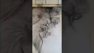 Detailing Fur Drawing Tutorial #art #charcoal #drawing