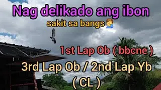 Nag delikado ang ibon Sakit sa bangs🤦 SDR 1st Lap bbcne | 3rd Lap OB 2nd Lap YB ( CL )