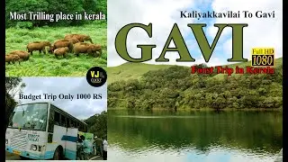 காட்டுக்குள்ள ஒரு நாள் பயணம் திகில் அனுபவம் கவி பயணம் KSRTC BUS | Pattamthitta TO GAVI || 4 Hours