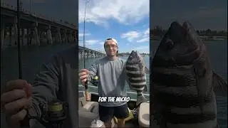 He caught a giant fish on the Micro Rod! @universaloutdoorsmen ​  #fish #fyp #saltwaterfishing