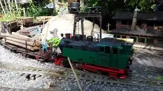 LGB Akku/RC BKB Echtdampf Gartenbahn  - Holztabfuhr im Frühjahr