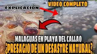 MALAGUAS APARECEN EN PLAYA DEL CALLAO Y AFIRMAN QUE VENDRA UN DESASTRE NATURAL + video completo