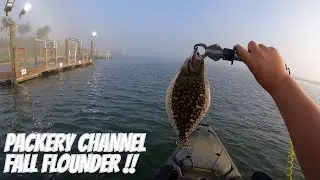 Fall Fishing Packery Channel | Corpus Christi | Flounder Run and Redfish
