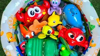 LEARN SEA ANIMAL NAMES AND FUN FACTS WITH TOYS: SEA ANIMAL TOYS FOR TODDLERS AND PRESCHOOLERS