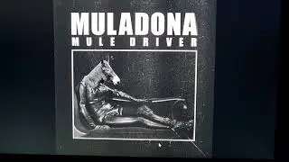 Mule Driver - Muladona