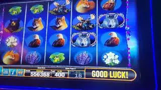 INSANE Run With The Pack slot machine GIANT win!!! Max bet bonus rounds locked wild screen!!