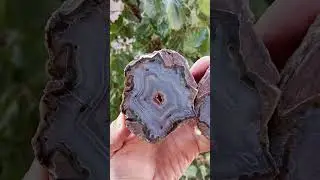 Mirror Polished Blue Lace Thunderegg Agate Pair Uv Reactive Fluorescent Mineral