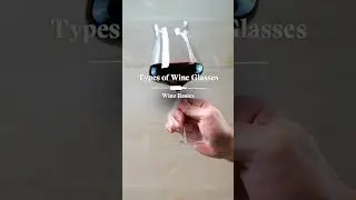 Types of Wine Glasses