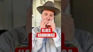 Harmonica Tutorial for Beginners Blues Riff Harmonica #harmonica #blues