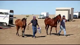 CORFIELD RACES    OUTBACK  QLD  2019