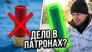 Охота на зайца по свежему снегу 2026 #hunting #охота #охотаназайца #huntingseason